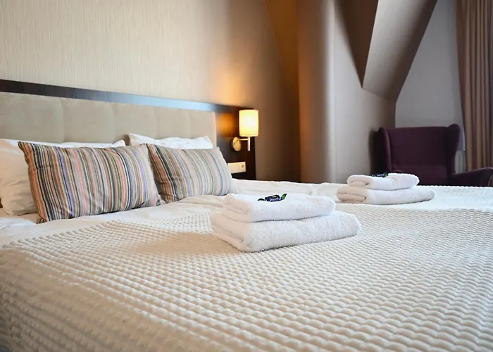 酒店 马尔堡中心酒店