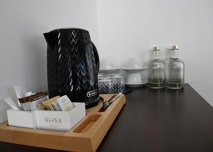 酒店 马尔堡中心酒店 马尔堡